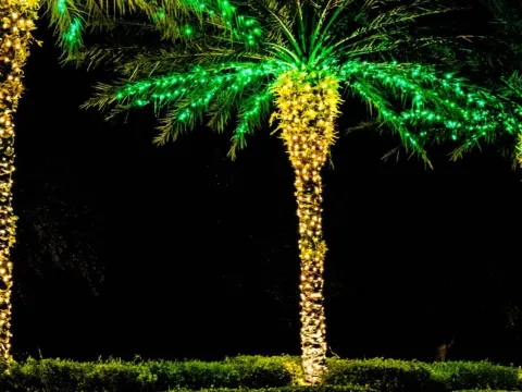 Noleggio luminarie – Axente Luminarie (5)
